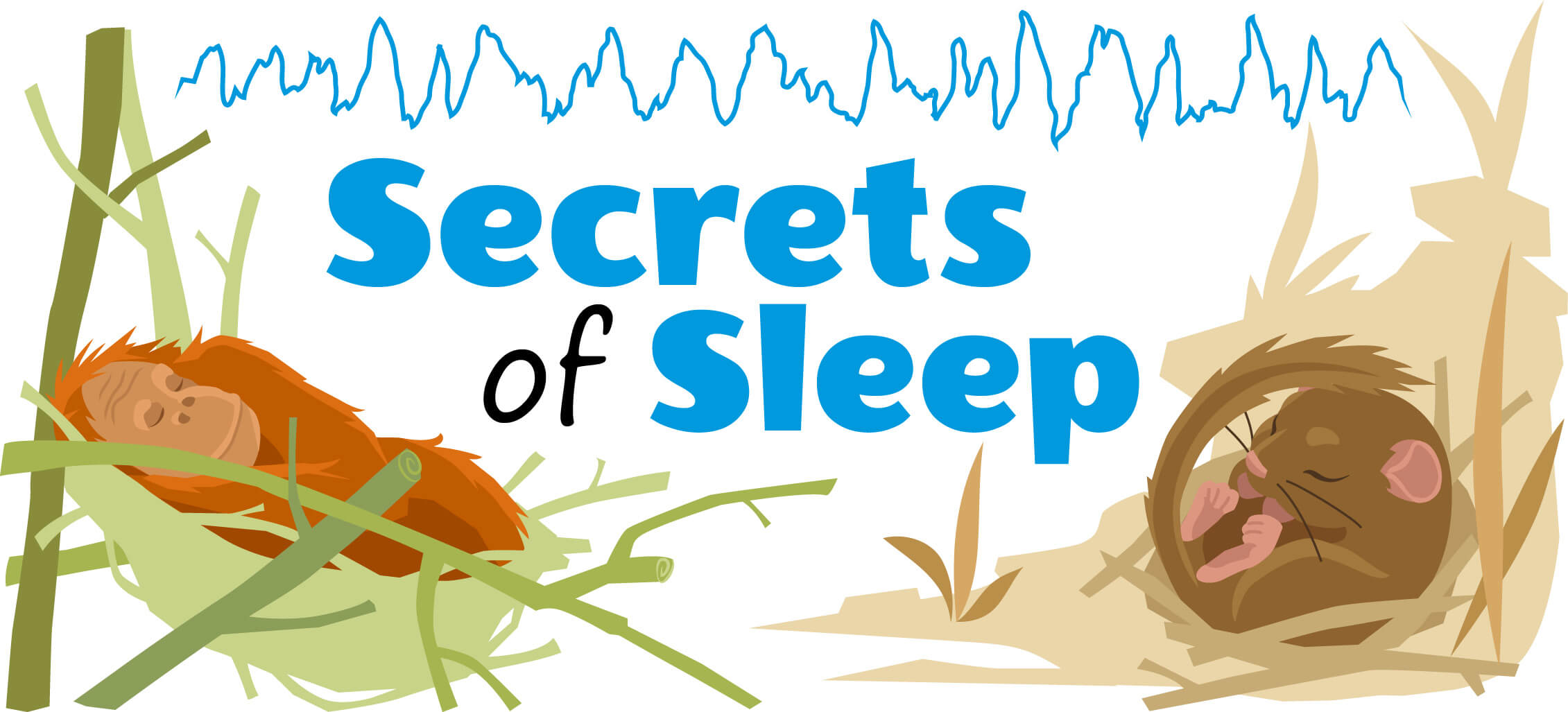 Secrets of sleep 