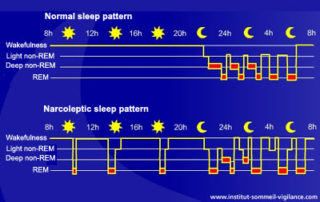 Normal sleep pattern